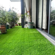 Móna Saorga BALCÓIN